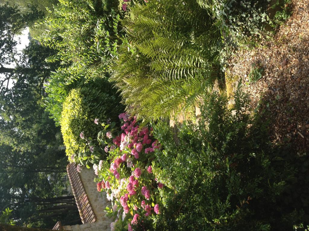 Les Hortensias Clermont  Esterno foto